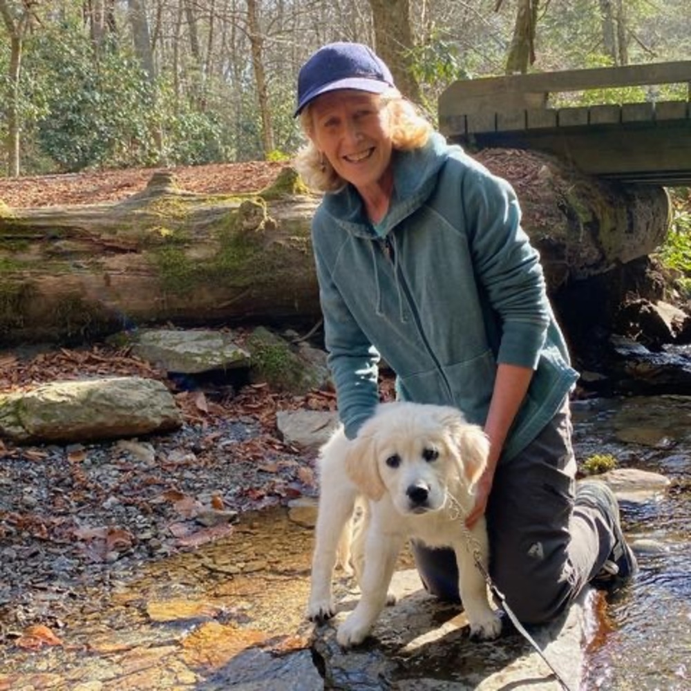 Meet your Posher, Gwynne